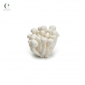 Nấm ngọc châm trắng