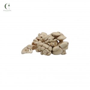 Nấm ngọc thạch Đà Lạt