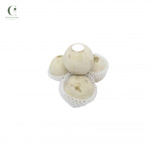 Dừa xiêm Size 300-400gr